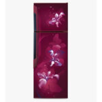 Double door cgd3101oxwn