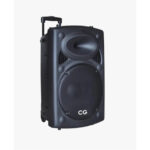 Tower speaker cgts08f01