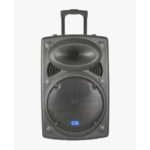 Tower speaker cgts15c01
